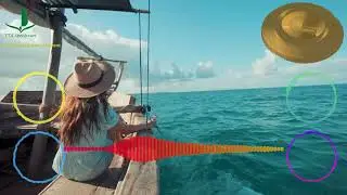 Upwind - TheFatRat 