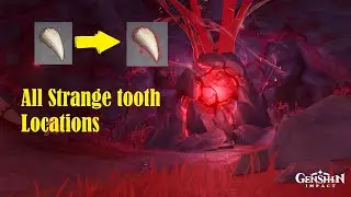 All Strange Tooth Locations Guide | Genshin Impact