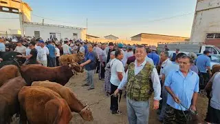 ХАЗАРАСП МОЛ БОЗОРИ НАРХЛАРИ 21 ИЮЛЯ 2024Г