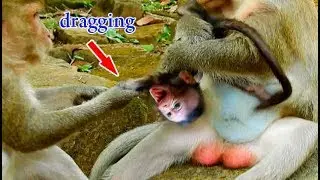 So sad.. Pity baby Daniela | Maria hurt Daniel by dragged, Dana tries to catch Daniela back