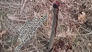 Обряд. Очень Сильная Защита. Круговая . 13 Кол Осиновых. Иродово Войcko на Защите.
