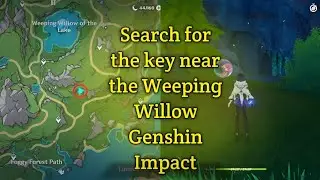 Search for the key near the Weeping Willow | Genshin Impact