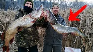 РЕЧНЫЕ МОНСТРЫ! РЫБА - МОНСТР ЧУТЬ НЕ УТАЩИЛА В ВОДУ! 5 ЩУК с Точки! Рыбалка на ТРОФЕЙНУЮ ЩУКУ 2020