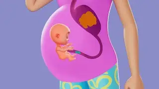 ¿Por Qué Tenemos Ombligo? | Canción de Curiosidad | Baby Berry - Español - Canciones infantiles
