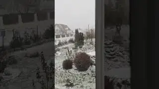 С первым снегом, мои дорогие! С первым снегом!
