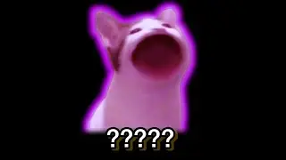 11 Pop Cat Sound Variations in 30 Seconds (FAST VERSION)