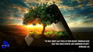 Why Staying Grounded is Essential | IN FAITH