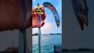 Волшебная рыбка 