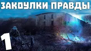 S.T.A.L.K.E.R. Закоулки Правды #1. Ворон