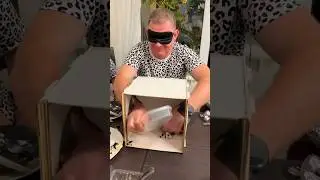 Dalmatian party⭐️: Part 2 