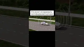 Кто может игнорировать светофор/разметку/знаки?