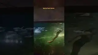 Penampakan Putri Duyung Cantik Mirip Manusia