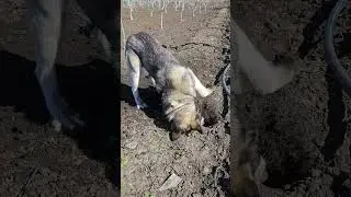 ХТО ТАМ???