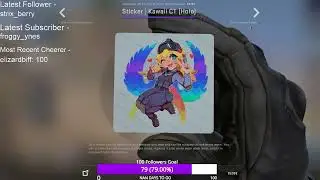 CSGO 10 YEAR CAPSULE KAWAII CT & T HOLO REACTION