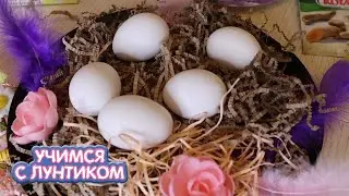 Учимся с Лунтиком 🥚🐣🥚 Пасха - яйца и куличи 🐇🐇🐇 Сборник мультиков для детей