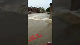 Danger Heavy Overfollowing River in Bihar #shorts