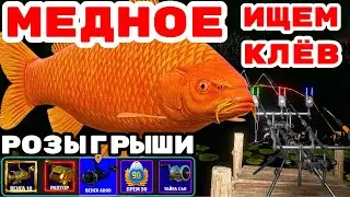 МЕДНОЕ / РЕДКАЯ ВЕНГА В ПОДАРОК 🎁 РОЗЫГРЫШИ И ТУРНИРЫ 🔴 В  РУЛЕТКЕ - РАПТОР, ВЕНГА, ТАЙГА 💥СТРИМ РР4