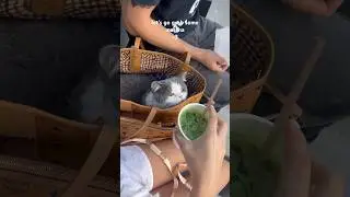 Taking My Cat To A Cafe!