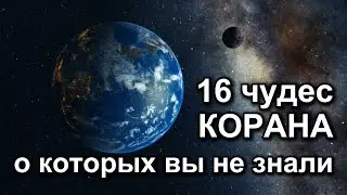 Чудеса Корана, которыми мы пользуемся до сих пор.