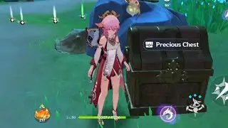 Dig Crabs for Precious Chest - Genshin Impact Hidden Puzzle