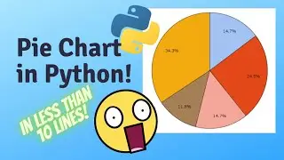 Can you make Pie chart in python? | Python project ideas 