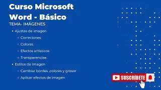 3.4 Ajustes y estilos de imagen - Curso Basico de Word