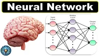 Neural Network
