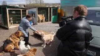 Профсоюз наркополицейских посетил приют "Верный". ТВМост. 28.04.2016