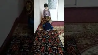 Shohruhbek dastiyor 14.11.2022 kun