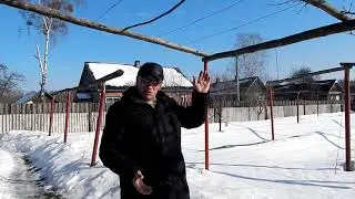 Отказ от фунгицидов. Схема обработки виноградника. Беларусь.