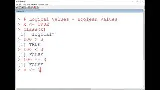 6 .  R Language  Logical Values   Boolean Values