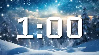 One Minute Timer
