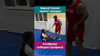 Альфредо победил Марифа Пираева! Он уже не тот. Скатился.