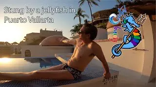 Stung by Jellyfish in Puerto Vallarta! - Going Coastal Sailing Ep 3