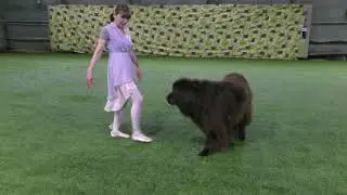 41 Новоселова Марина ФАННЬЮФ ГЛОРИЯ ДЕЙ