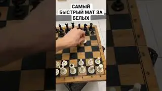 Самый быстрый мат в шахматах за белых. #Шахматы