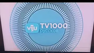 Заставки (Viju TV1000 Русское, 01.03.2023)