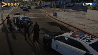 Crazy Day | GTA V LSPDFR