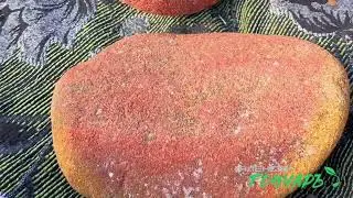 Гончаръ Чистка  Земли
