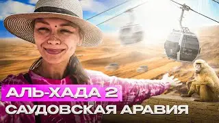 Таиф. День 2. Канатная дорога и бабуины в Саудовской Аравии [2021].  Road trip to Taif, Saudi Arabia