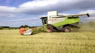 ИЗ ЧЕГО ДЕЛАЮТ ХЛЕБ .Комбайны в поле. Битва за урожай.