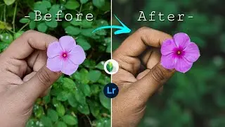 how can your borring photo's turn into DSLR look || DSLR look in just few minute