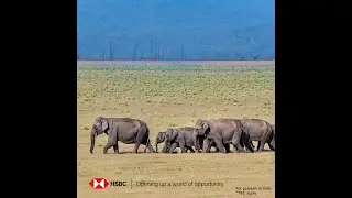 Planet-friendly shopping 🌏 with HSBC Cards