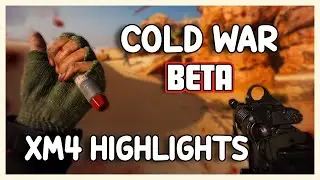The BEST XM4 Class Setup! | Call of Duty Black Ops Cold War
