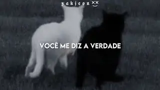 The National, Taylor Swift - The Alcott (Tradução/Legendado)