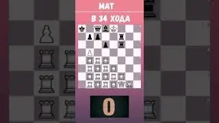 Мат в 34 хода🙈 Шахматная ЗАДАЧА - ГОЛОВОЛОМКА. Шахматы всем. 