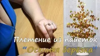 Плетение дерева из пайеток. Осенняя берёзка. Дерево счастья.