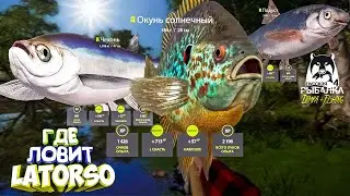 Русская рыбалка 4.🎣🦈 р. Северский Донец 🐟🐠🐟💦 ГДЕ ЛОВИТ LATORSO 👀