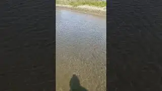 РЕЧКА ЛЕТО