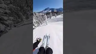 фрирайд горные лыжи 